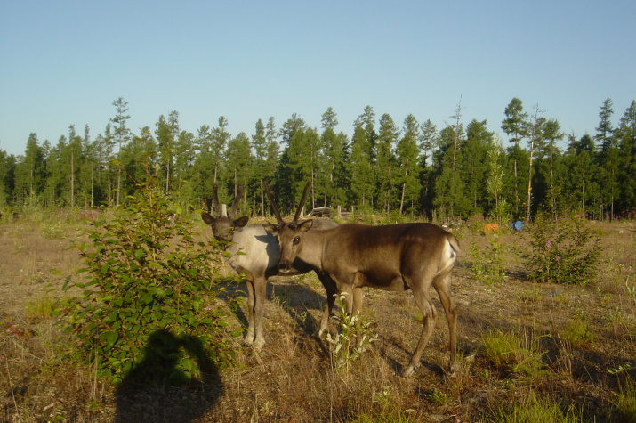 Фото: Павел Ткаченко