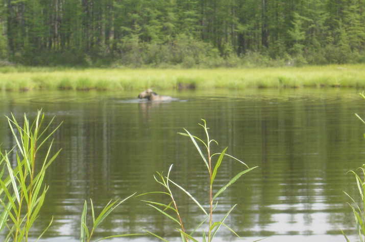 Фото: Павел Ткаченко