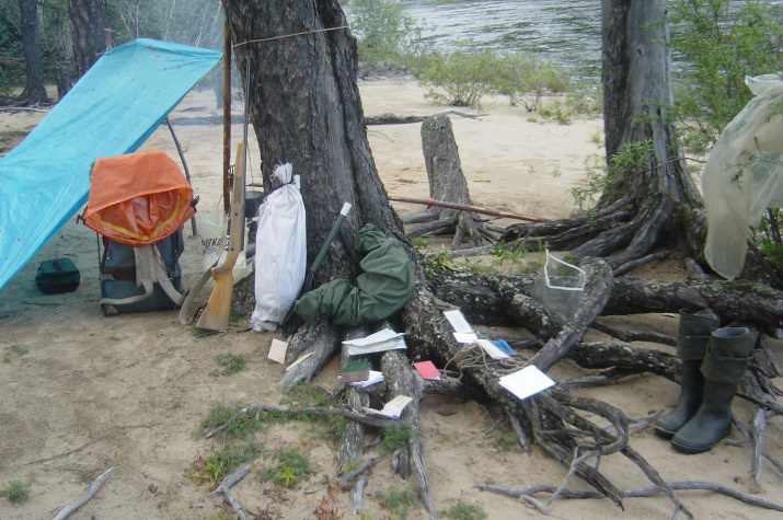 Фото: Павел Ткаченко