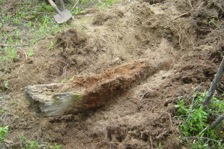 Фото: Павел Ткаченко