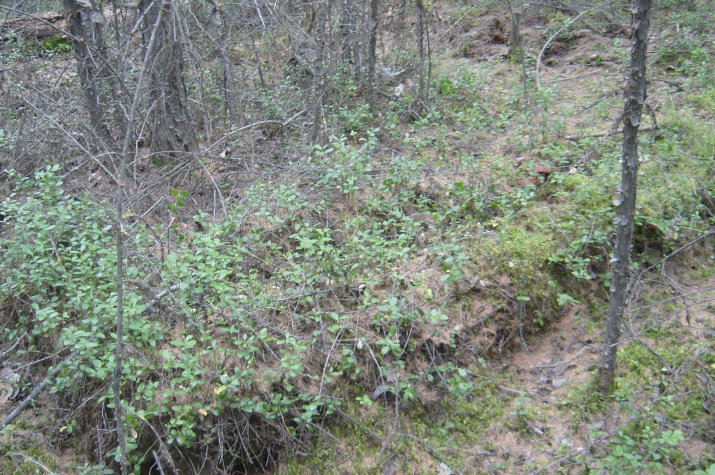 Фото: Павел Ткаченко