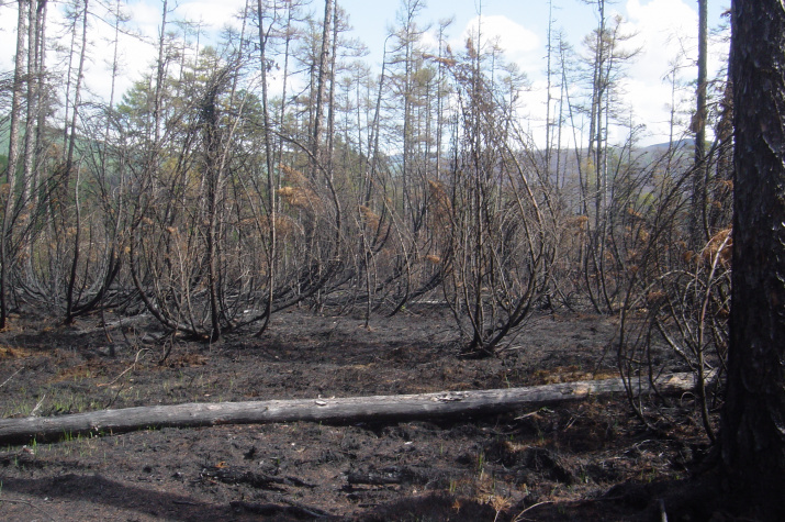 Фото: Павел Ткаченко