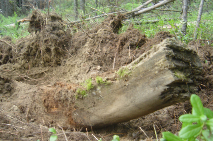 Фото: Павел Ткаченко