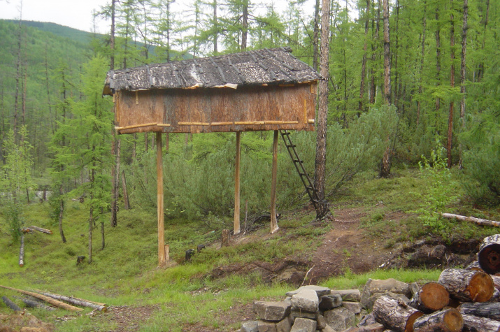 Фото: Павел Ткаченко