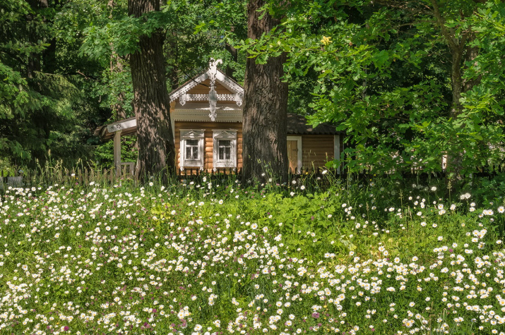 Фото с сайта muranovo-museum.ru