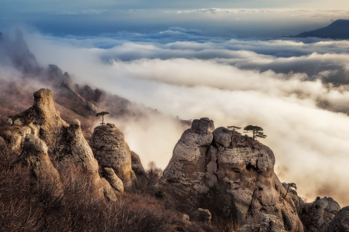 Гора Демерджи. Фото: Алексей Самойленко