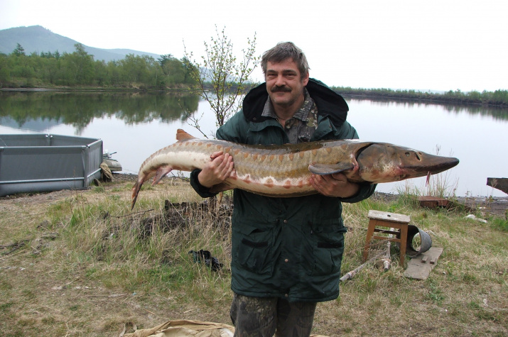 dscf1154.jpg