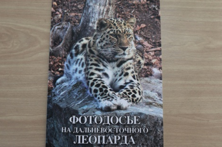 A unique Atlas &quot;Photo dossier on the Amur leopard&quot; 