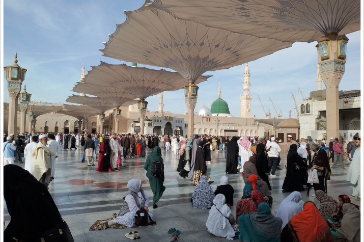 Фото: Н. Носов