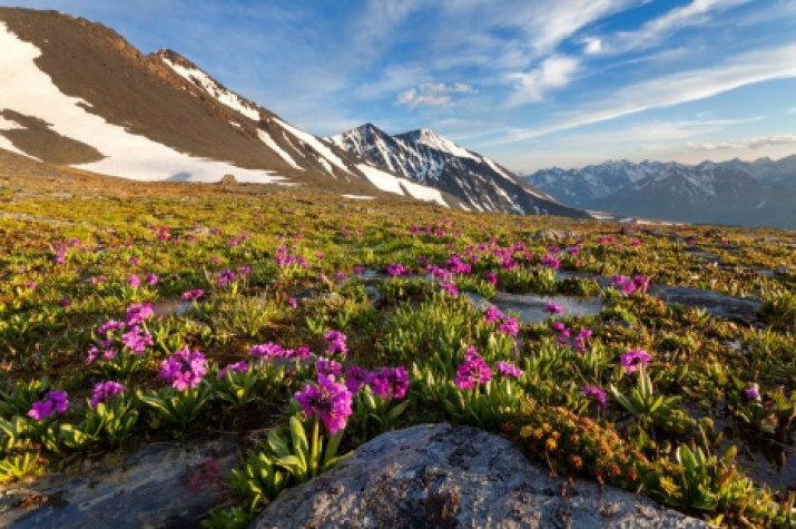 Altai, the Kara-Turek. Photo: Ilya Melnikov