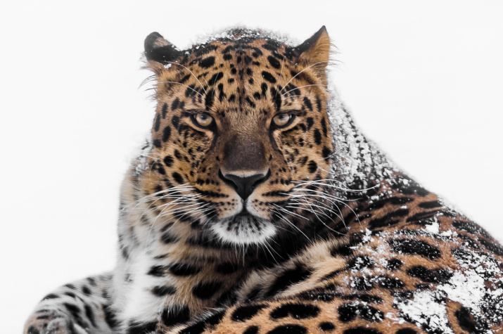 Фото: Михаил Колесников, участник фотоконкурса РГО "Самая красивая страна"