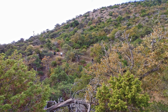 Поход с Движением Первых Фото: Судакское местное отделение РГО