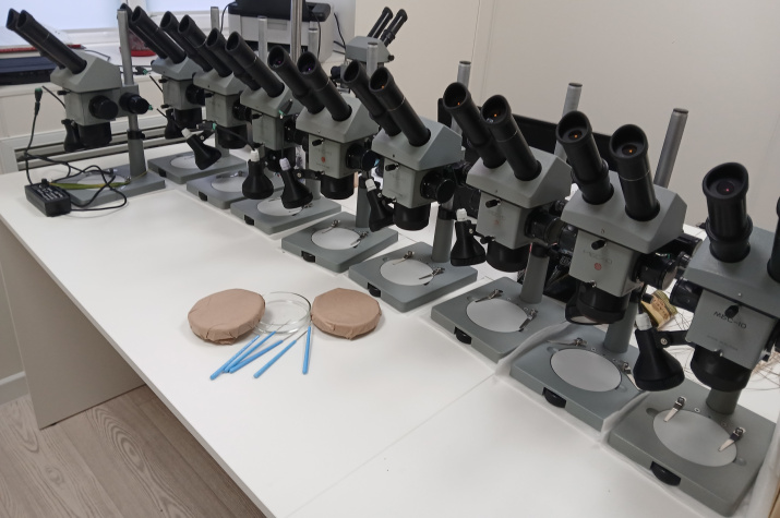 Закупленные микроскопы. Фото: Оренбургское реготделение РГО Закупленные микроскопы. Фото: Оренбургское реготделение РГО