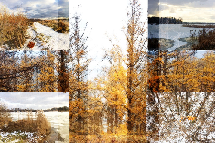 Фото: Наталья Короткова