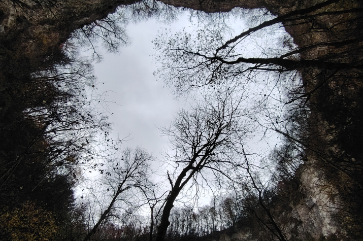 Вид из провала. Фото: Оксана Крицкая