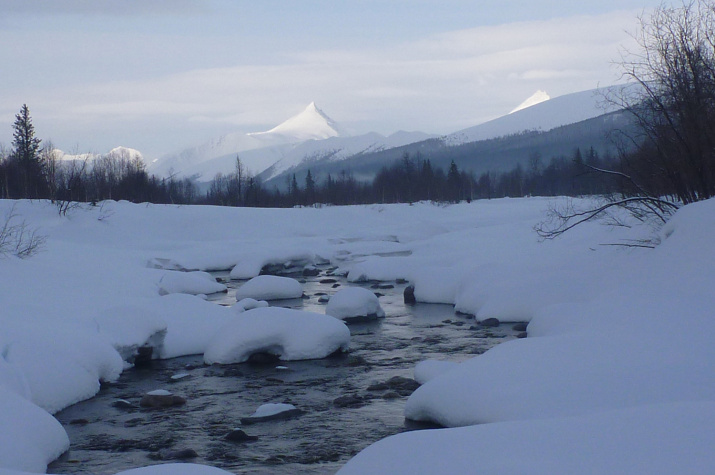 Всероссийский спецпроект «Снежный дозор». Фото: пресс-служба УрГПУ Всероссийский спецпроект «Снежный дозор». Фото: пресс-служба УрГПУ