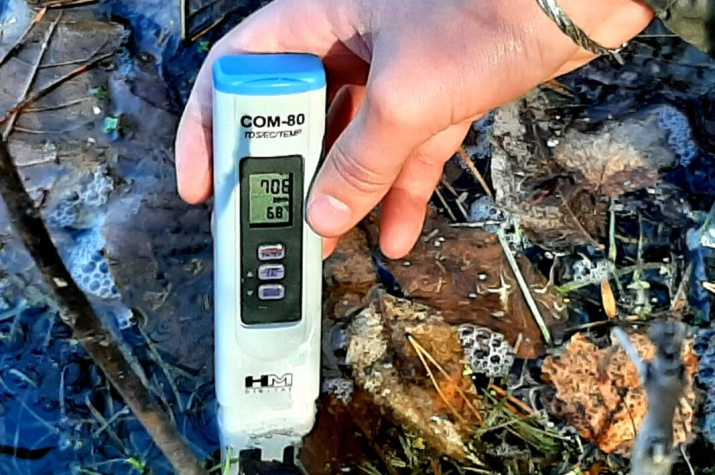 Фото предоставлено АКО ВОО РГО