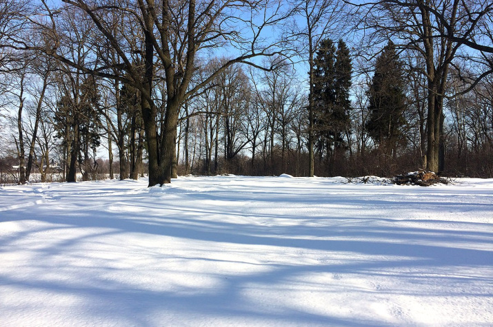Фото: Наталья Короткова