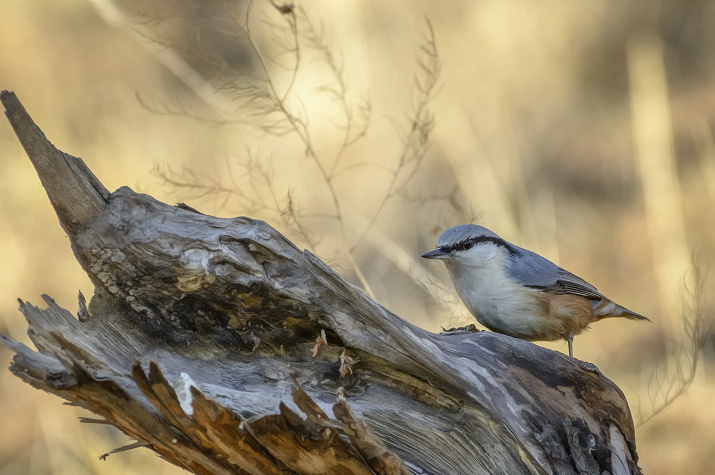 Фото: Анатолий Зверев, участник фотоконкурса РГО "Самая красивая страна"