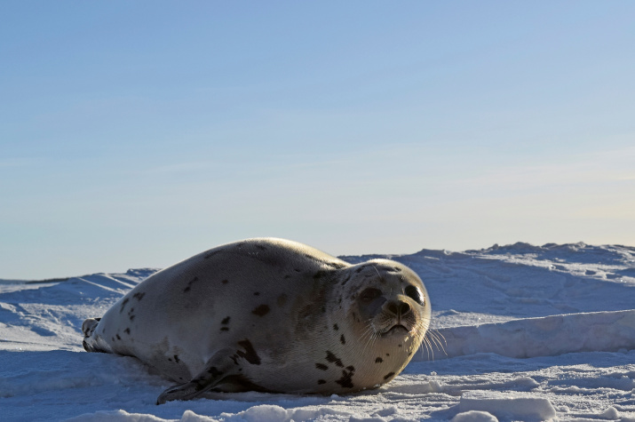 Фото: Виталий Чубко, участник фотоконкурса РГО "Самая красивая страна"