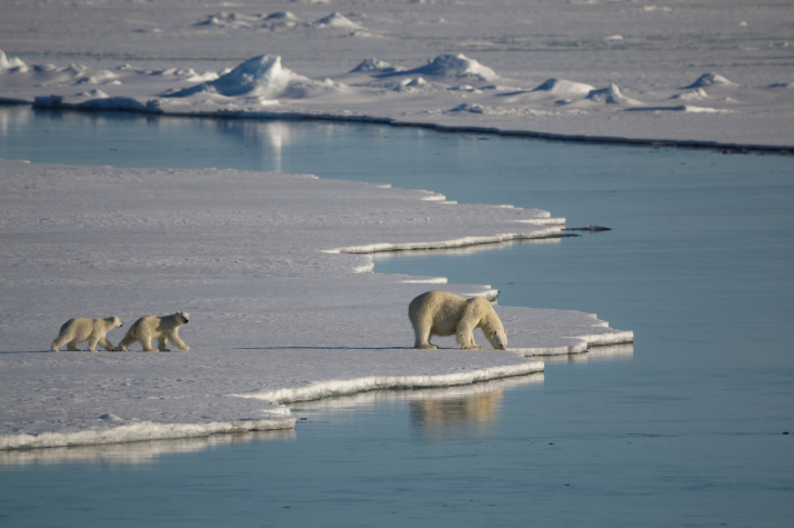 Фото: Михаил Нитишинский, участник фотоконкурса РГО "Самая красивая страна" Фото: Михаил Нитишинский, участник фотоконкурса РГО "Самая красивая страна"