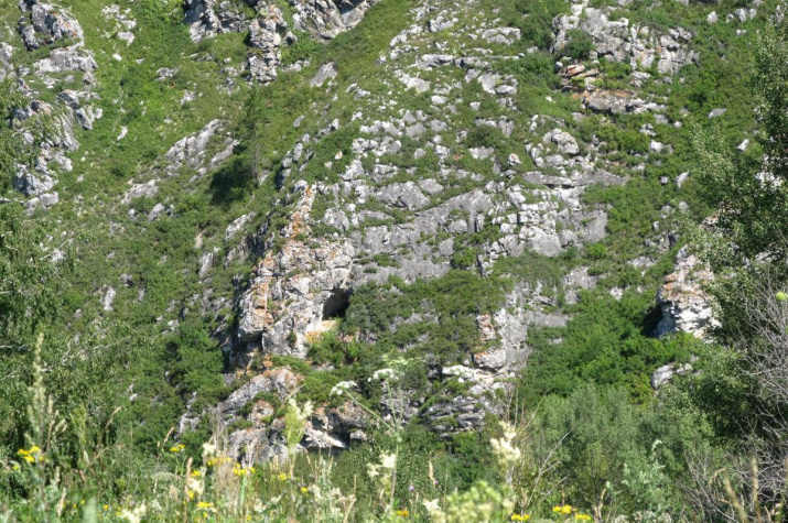 Краснощековский район по праву считается пещерным краем. 