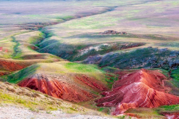 The scarlet slopes Big Bogdo in Bogdinsko-Baskunchaksky Reserve, Astrakhan region. May, 2011. Photo by Anton Agarkov