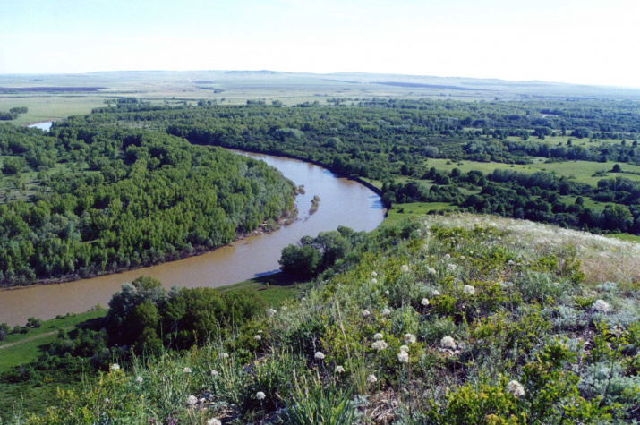 Вид поймы реки Урал с г. Верблюжка (Беляевский район)