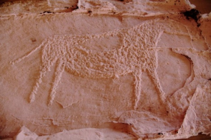 Фото: Ульяна Потылицына Фото: Ульяна Потылицына