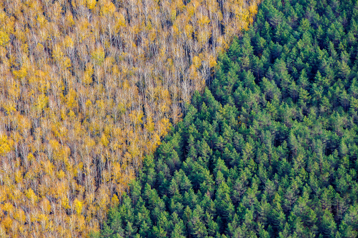 Фото: Константин Толоконников, участник фотоконкурса РГО "Самая красивая страна"