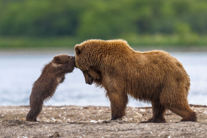 Фото: Сергей Иванов, участник фотоконкурса РГО "Самая красивая страна"