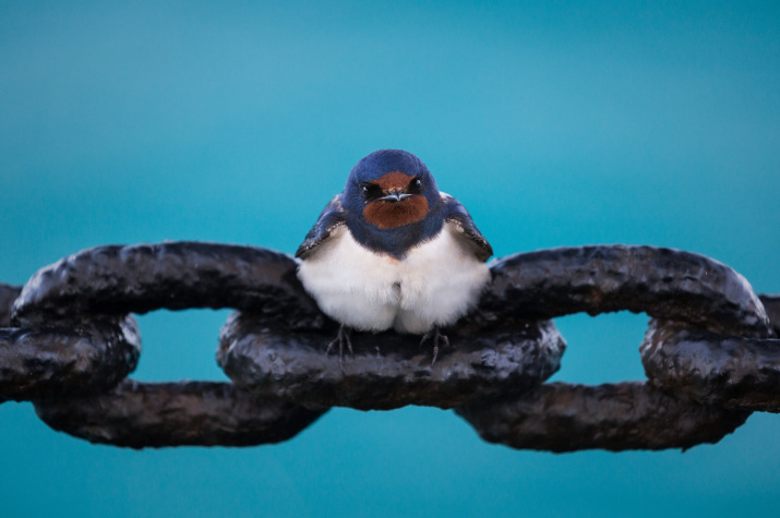 Фото: Валерий Притченко, участник фотоконкурса РГО "Самая красивая страна" Фото: Валерий Притченко, участник фотоконкурса РГО "Самая красивая страна"