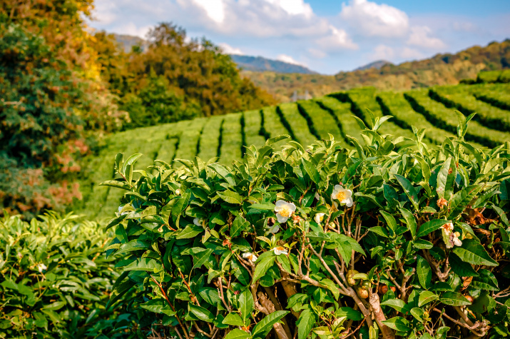 Фото: Андрей Иордан, участник фотоконкурса РГО "Самая красивая страна" Фото: Андрей Иордан, участник фотоконкурса РГО "Самая красивая страна"