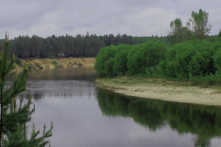 Река Ветлуга. Фото Шарьинского местного отделения РГО