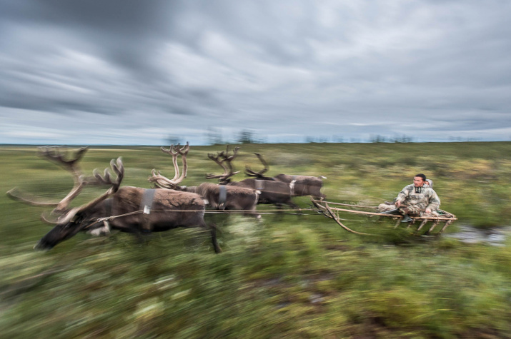 "Универсальное средство передвижения". Фото: Данил Хусаинов, финалист I фотоконкурса "Самая красивая страна" в номинации "Народы России"