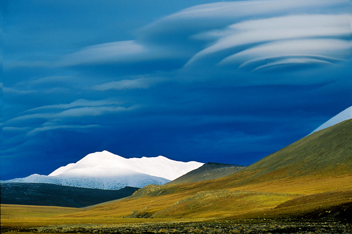Летним вечером в Арктике. Фото: Василий Баранюк