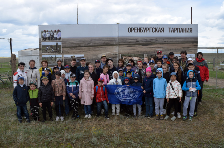 День Степи в «Оренбургской Тарпании»