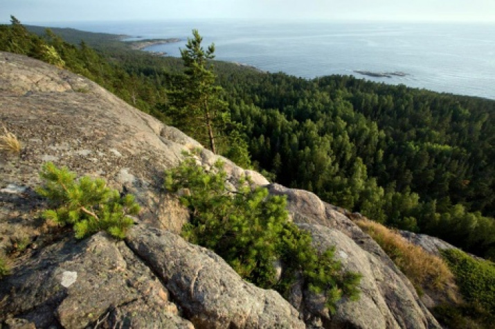 Hogland island. Photo by: Andrey Strelnikov