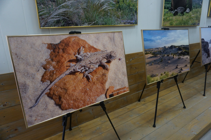 Красоты Природы ландшафтов степной зоны – основной сюжет фотовыставки «Картины Природы Степной Евразии» Красоты Природы ландшафтов степной зоны – основной сюжет фотовыставки «Картины Природы Степной Евразии»