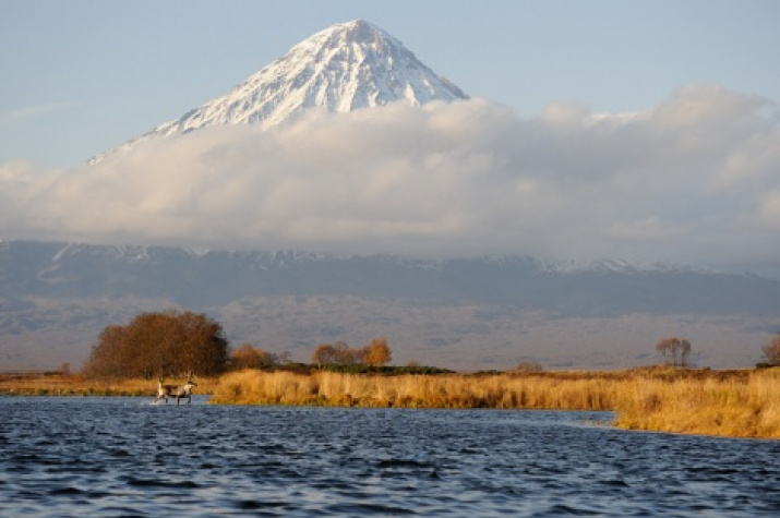 Kronotsky reserve. Photo by: Igor Shpilenok