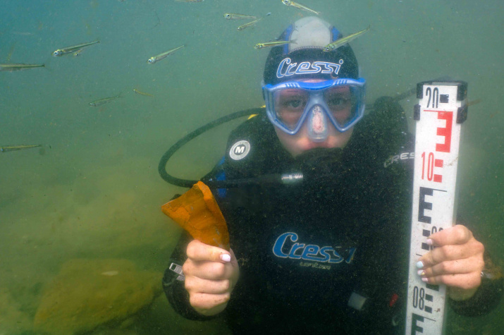 Автор: Эрнст Антонов