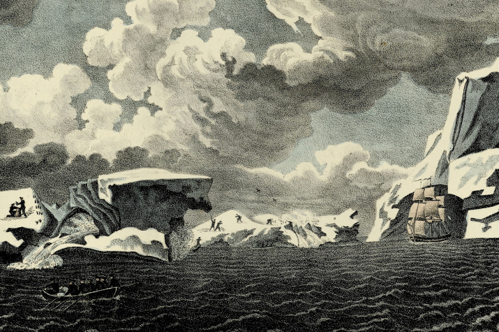 Иллюстрация из издания "Атлас к путешествию капитана Беллинсгаузена"
