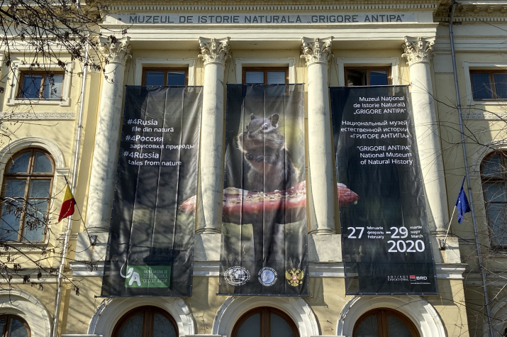 Национальный музей естественной истории "Григори Антипа"