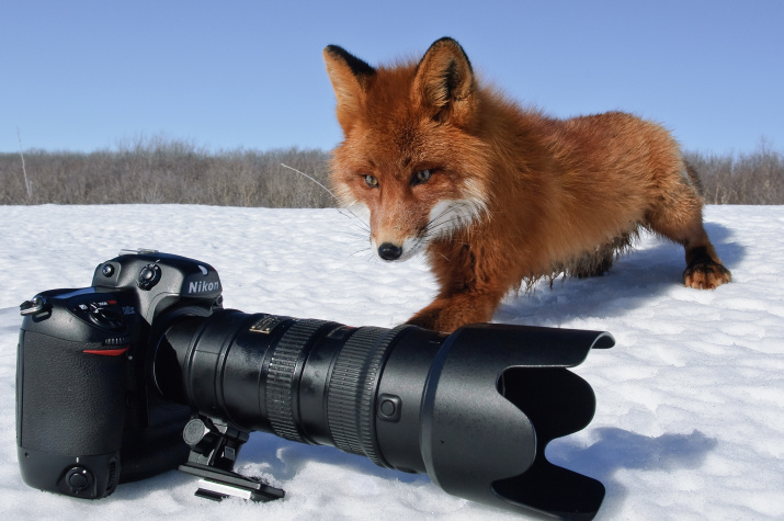 Фото: Сергей Горшков