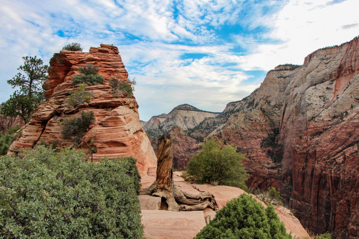 Парк Зайон в США