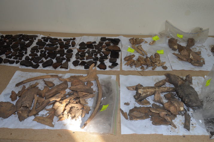 Автор фото: Андрей Давыдов