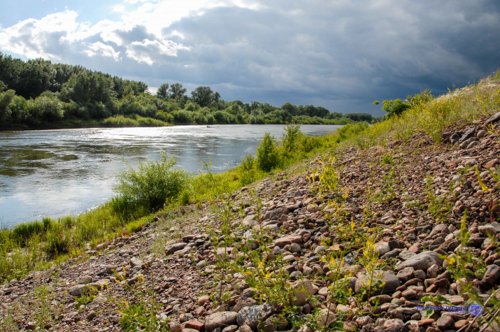 Река Урал у с. Пехотного (фото А.А. Чибилёва)