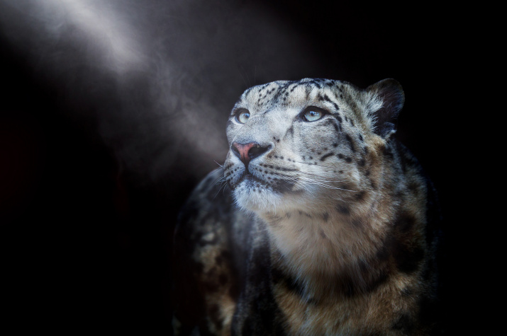 Фото: Олег Богданов, участник фотоконкурса РГО «Самая красивая страна» Фото: Олег Богданов, участник фотоконкурса РГО «Самая красивая страна»