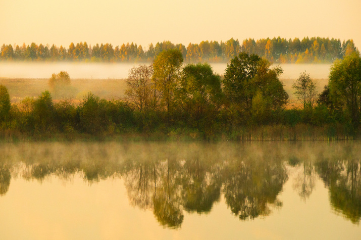Фото: Владимир Самаков