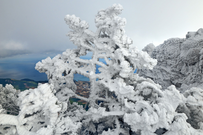 Фото: Юрий Югансон